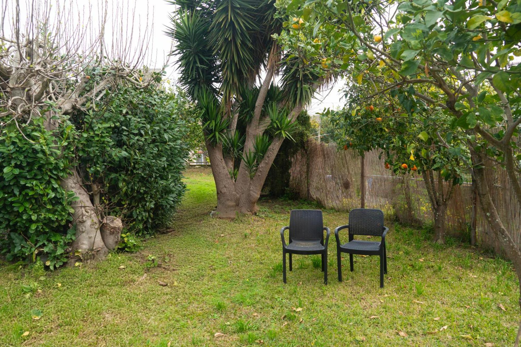 Apartamento La Terrazza Sul Giardino Procida Exterior foto