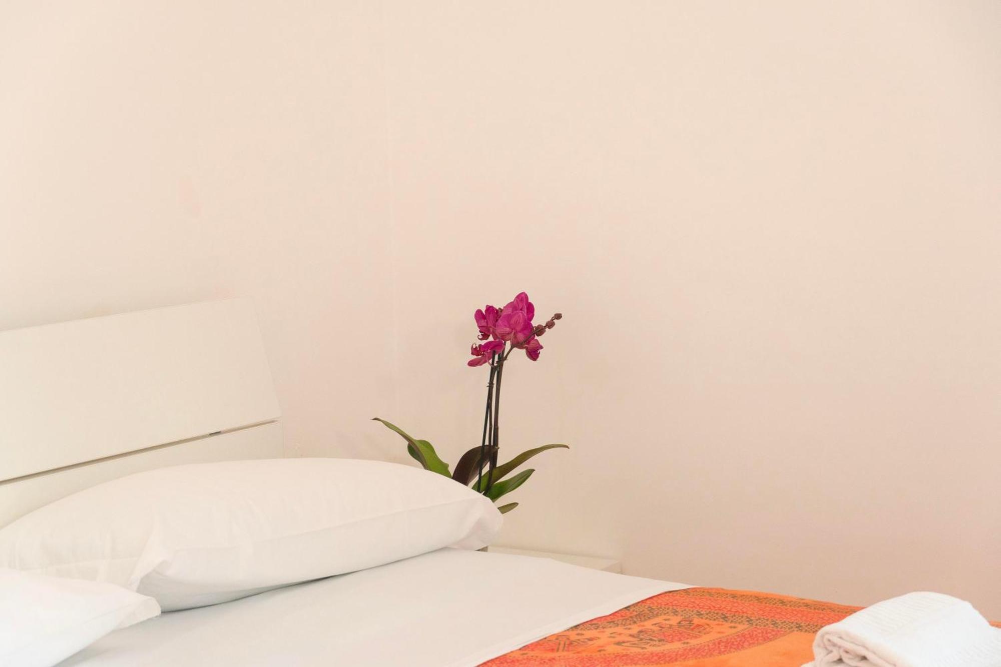 Apartamento La Terrazza Sul Giardino Procida Exterior foto